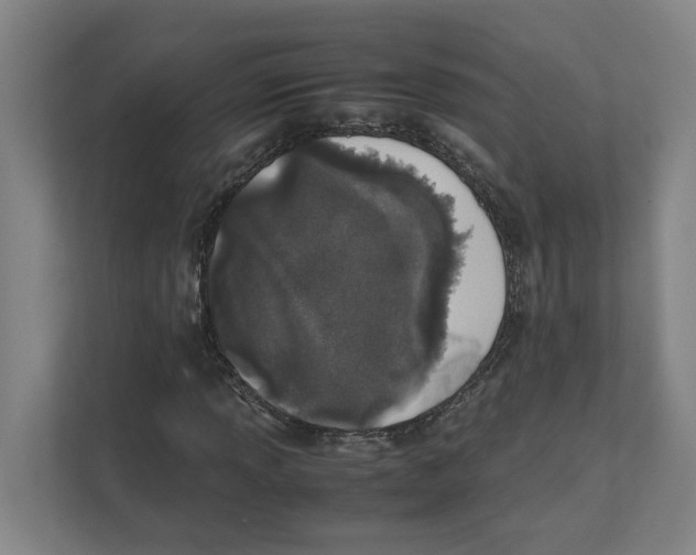 X0000111451013200908101030