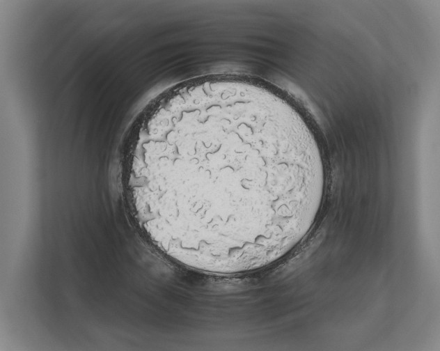 X0000111451019200908101030