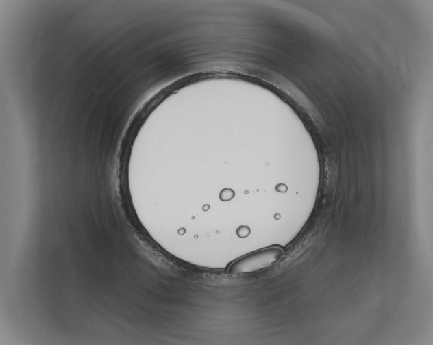 X0000111451020200908101030