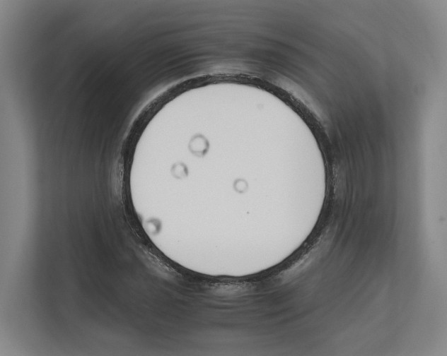 X0000111451021200908101030