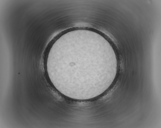 X0000111451022200908101030
