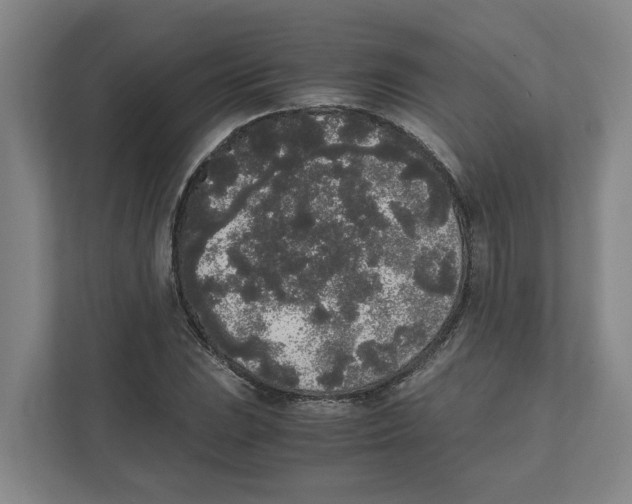 X0000111451023200908101030