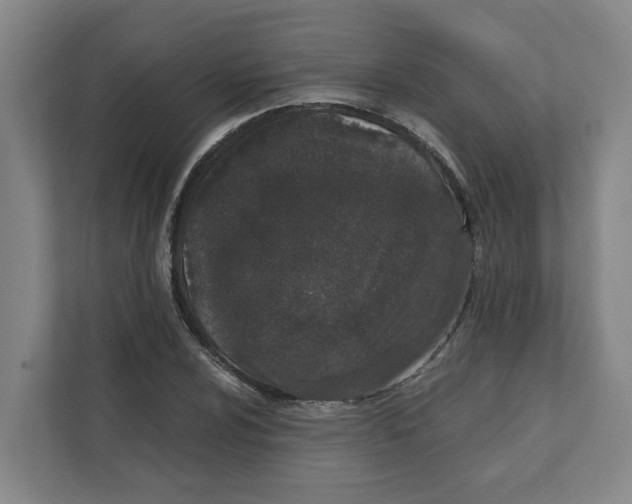 X0000111451024200908101030