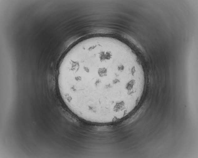 X0000111451025200908101030