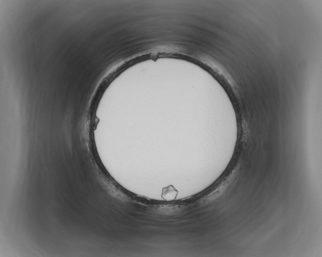 X0000111451029200908101030