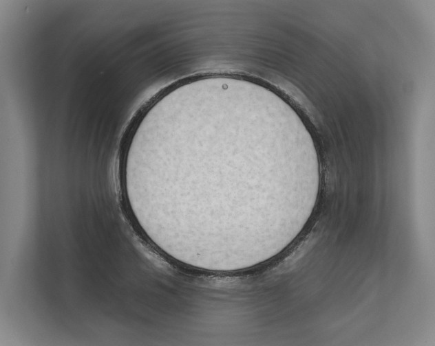 X0000111451030200908101030