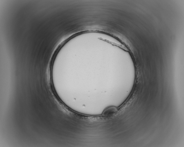 X0000111451032200908101030