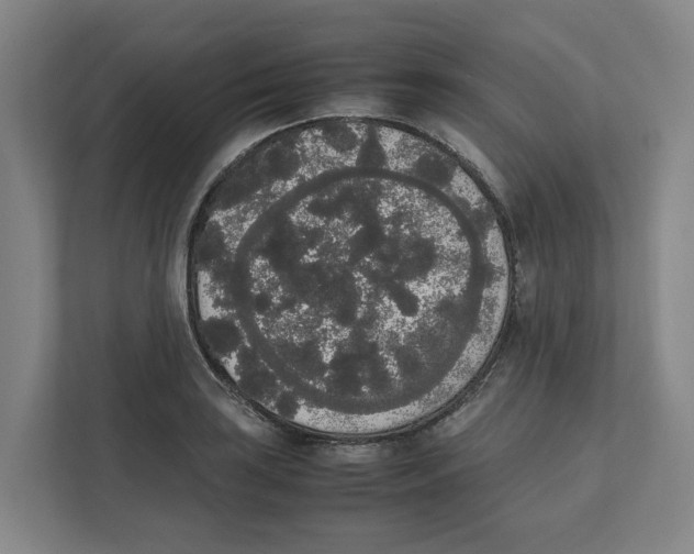 X0000111451035200908101030