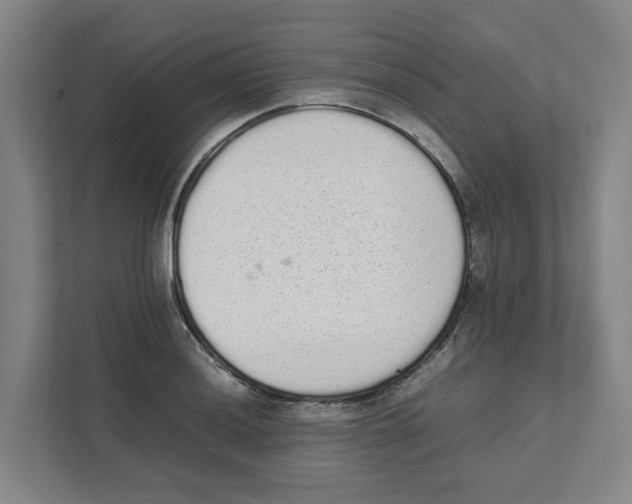 X0000111451036200908101030