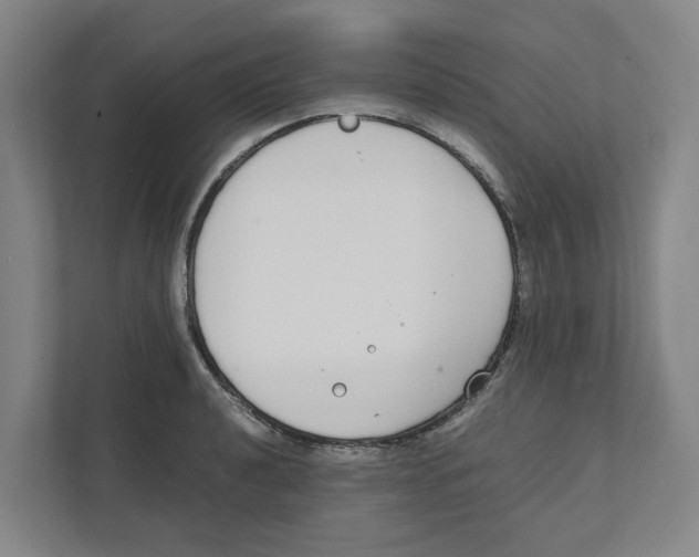 X0000111451040200908101030