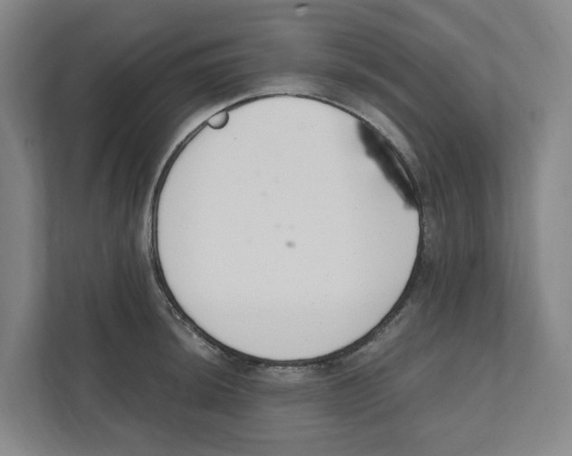 X0000111451044200908101030