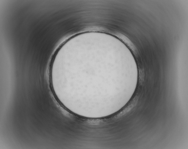 X0000111451046200908101030