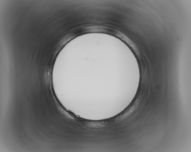 X0000111451049200908101031