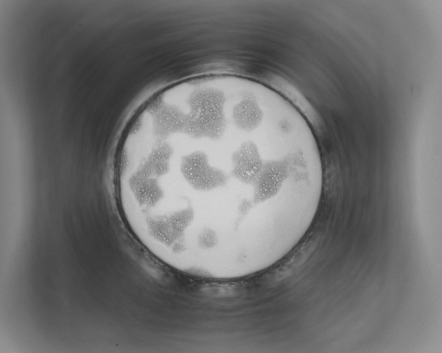 X0000111451051200908101031