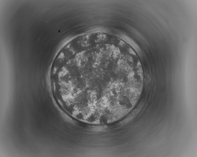 X0000111451055200908101031