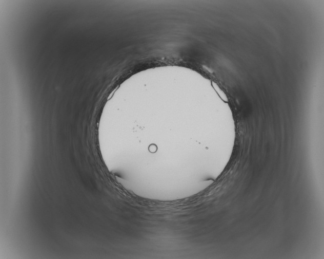 X0000111451057200908101030