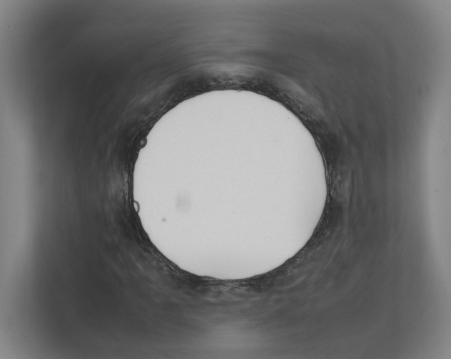 X0000111451061200908101030