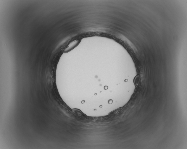 X0000111451064200908101030