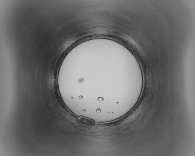 X0000111451065200908101030