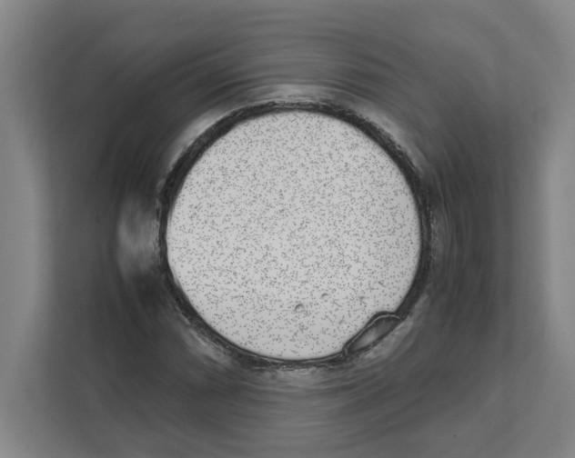 X0000111451066200908101030