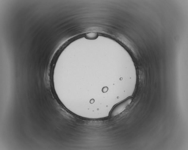 X0000111451068200908101030