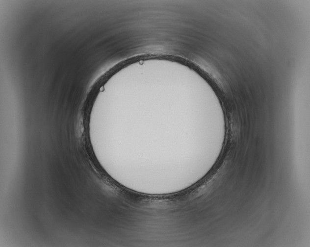 X0000111451070200908101030