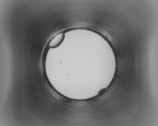X0000111451072200908101030