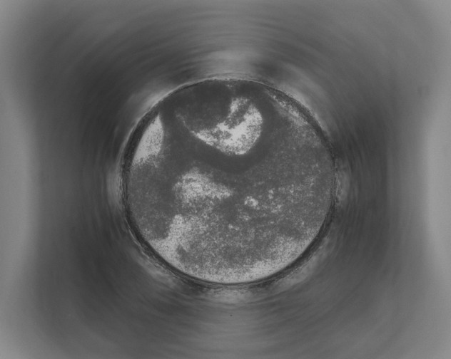 X0000111451074200908101030
