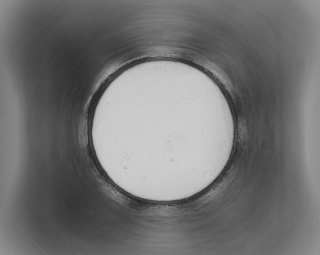 X0000111451075200908101030