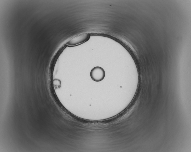 X0000111451077200908101030