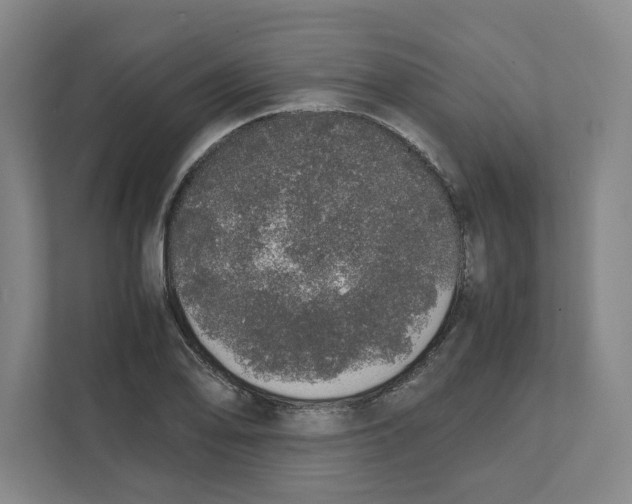 X0000111451078200908101030
