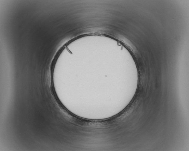X0000111451079200908101030