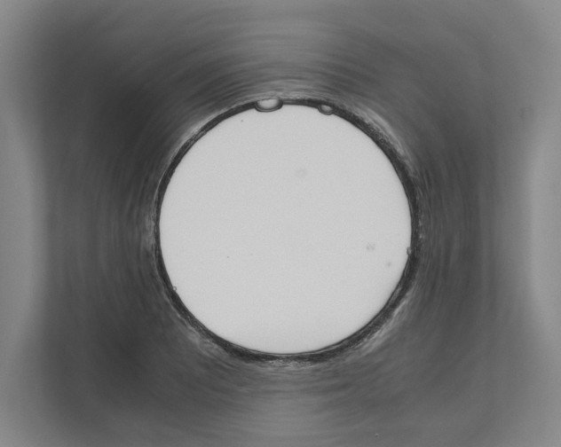X0000111451081200908101030