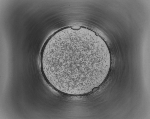 X0000111451084200908101030