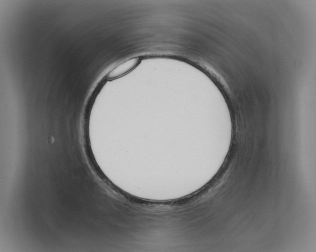 X0000111451085200908101030