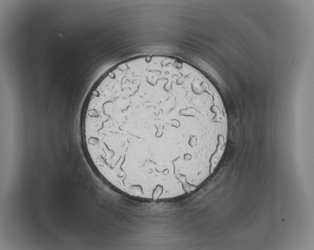 X0000111451087200908101030