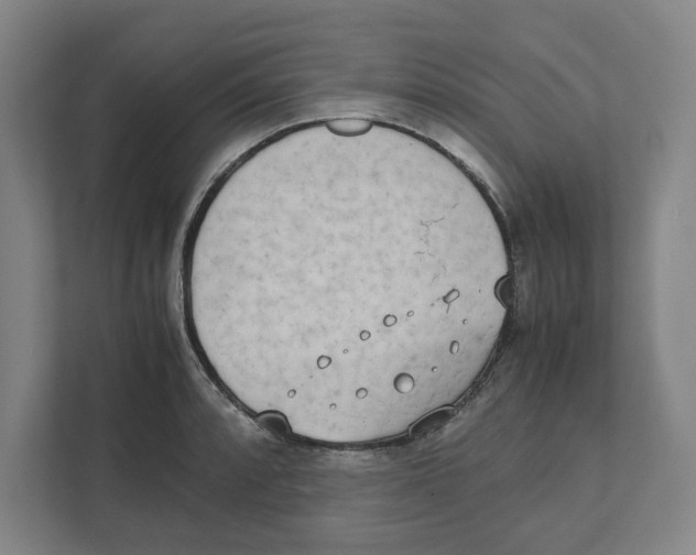 X0000111451088200908101030