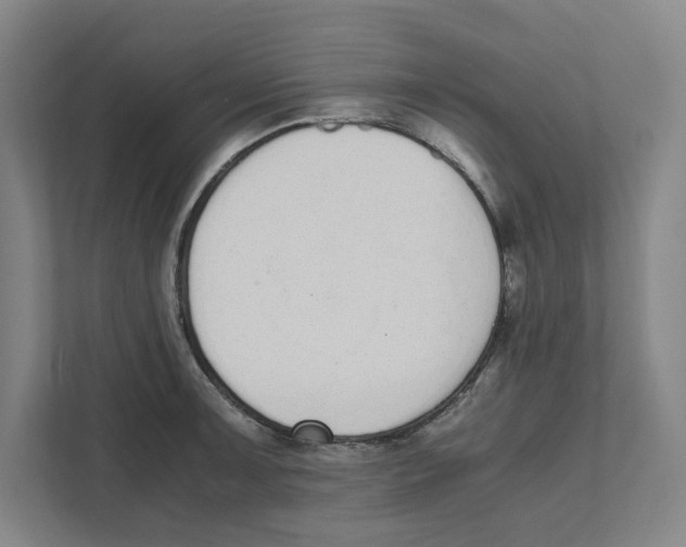 X0000111451091200908101030