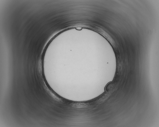 X0000111451092200908101030