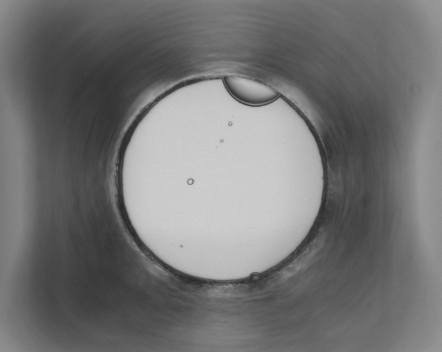 X0000111451093200908101030
