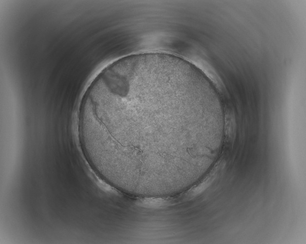 X0000111451094200908101029