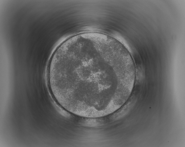 X0000111451098200908101029