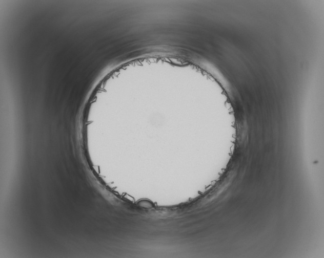 X0000111451099200908101029