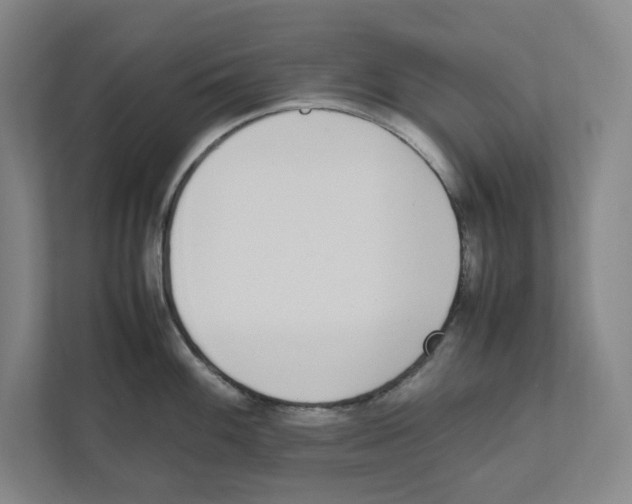 X0000111451100200908101029