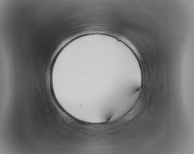 X0000111451101200908101029