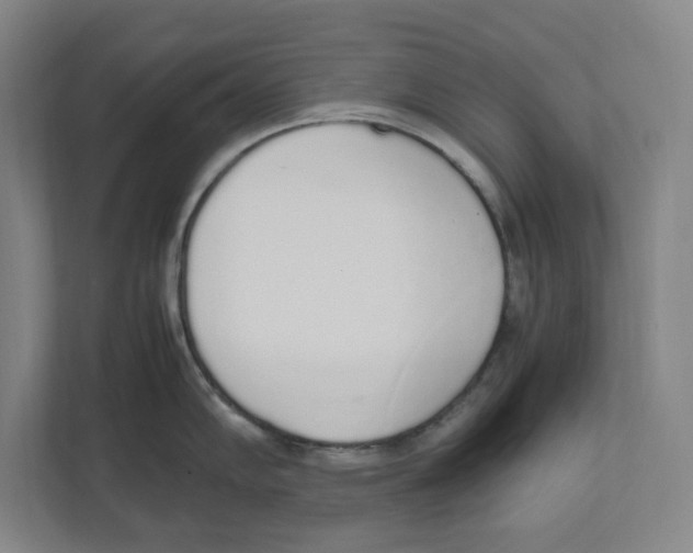X0000111451102200908101029