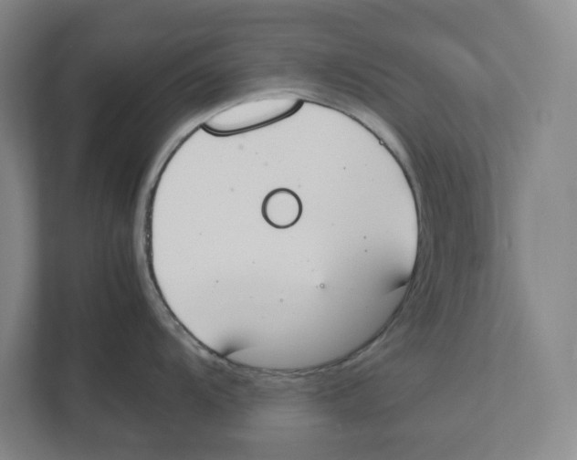 X0000111451104200908101029