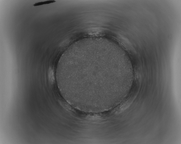 X0000111451106200908101029