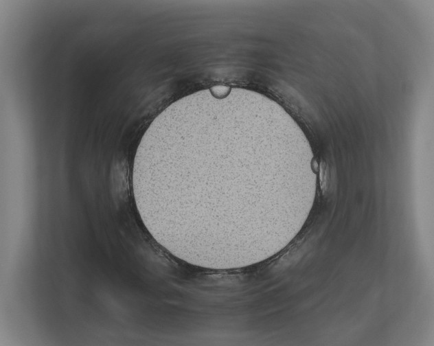 X0000111451107200908101029