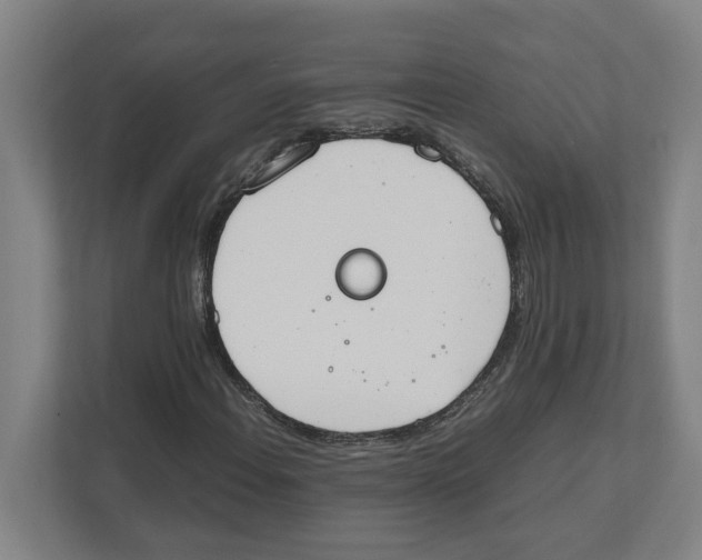 X0000111451108200908101029